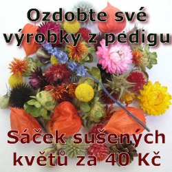 Sušené květy