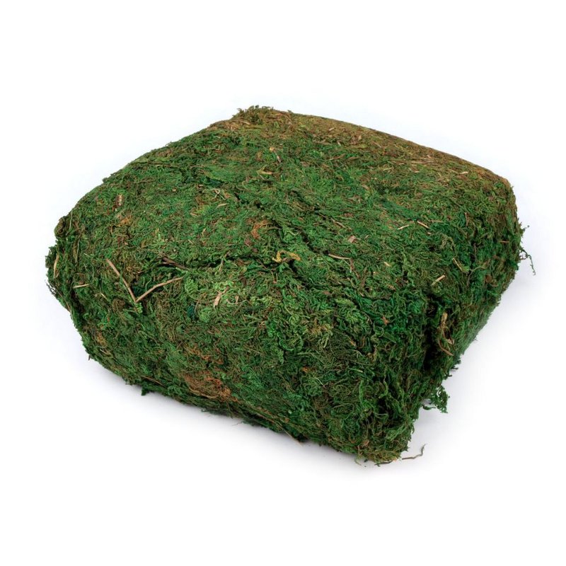 Dekorační islandský mech světle zelený 50g