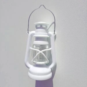 Lucerna malinká bílá 3,5x8cm 