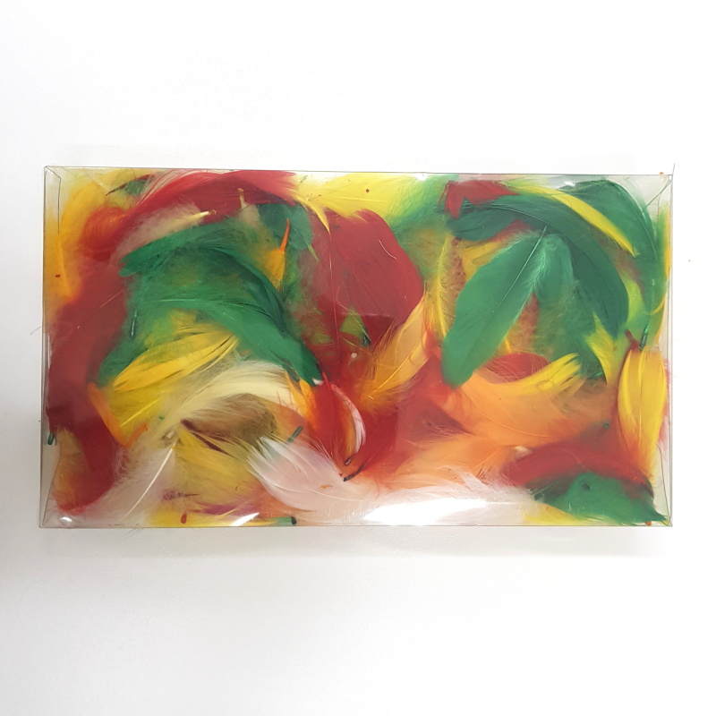 Peří barevné - krabička 13x23x4cm